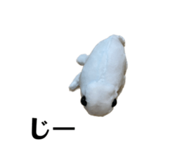 626720019