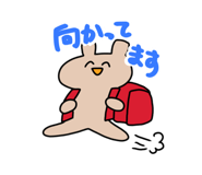 626728637