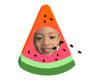 626737309