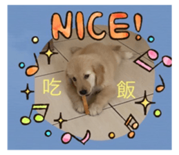 626764677