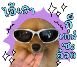 626800407