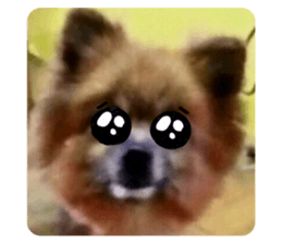 626805435