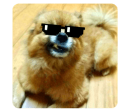 626805436