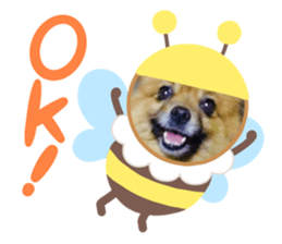 626805452