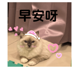 626805569