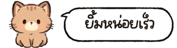 626816237