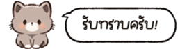 626816241