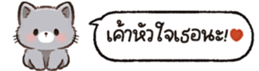626816244