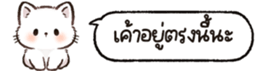 626816248