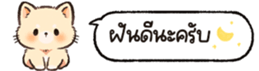 626816252