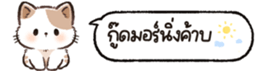 626816253