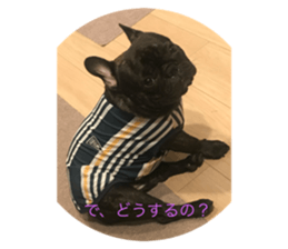 626855872