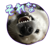 626864616