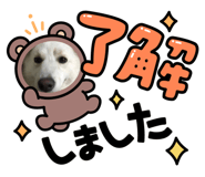 626864621