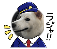 626864626