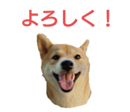 626870252