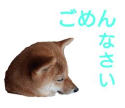 626870253
