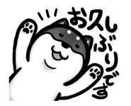 626876650