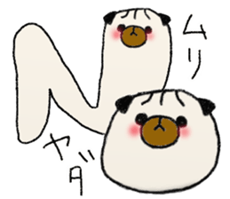 6268805
