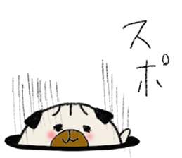 6268813