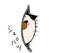 6268815