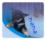 626884156