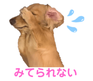 626884161
