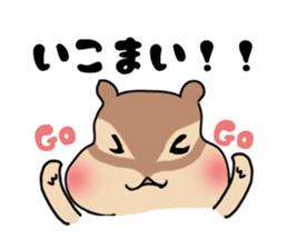 6269650