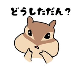 6269660