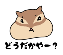 6269664