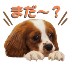 626985108