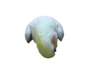 626990549
