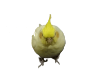 626990550