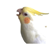 626990553