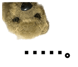 626997118