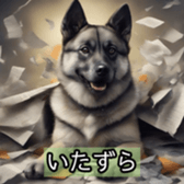 627041294