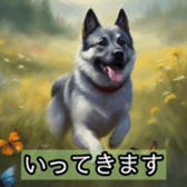627041303