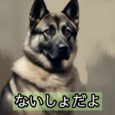 627041307