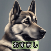 627041310