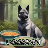 627041319