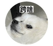 627093353
