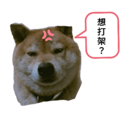 627095688
