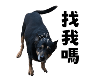 627096570