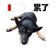 627096572