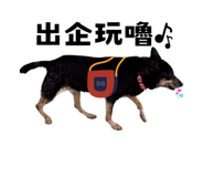 627096573