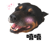 627096574