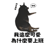 627096577
