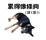 627096582