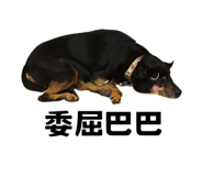 627096587