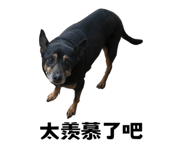 627096588